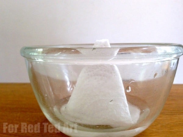 Chromatography flower - fun science for kids - prepping