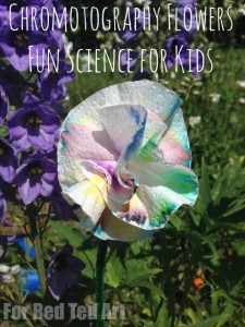 Chromotography flower - separate out the different colours from your ink pens - as if by magic. A wonderful & colourful science come art experiment for kids