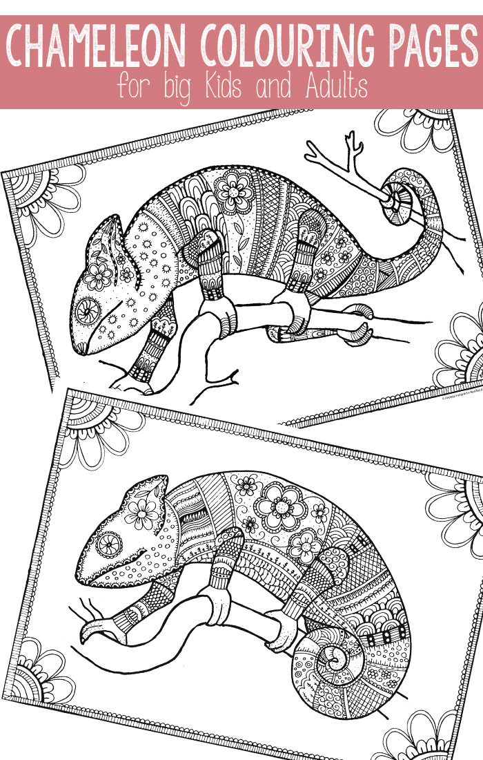 Free Colouring Pages for Grown Ups   cool chameleons   Red Ted Art&39;s Blog