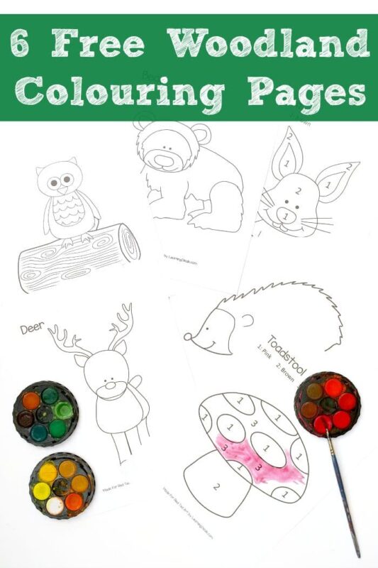 Great Colouring Pages for Fall - check out these adorable Woodland Colouring Pages, featuring Owl, Bear, Rabbit, Hedgehog, Reindeer & Mushroom