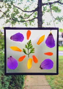 Upcycled CD Cases - nature suncatchers