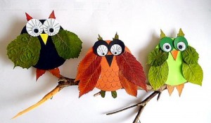 Leaf-Owls-300x175
