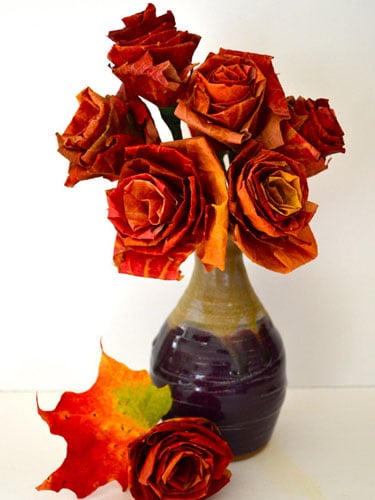 leaf roses