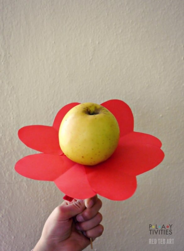 Healthy Valentine's Day Treats - Apple Heart Flowers (2)