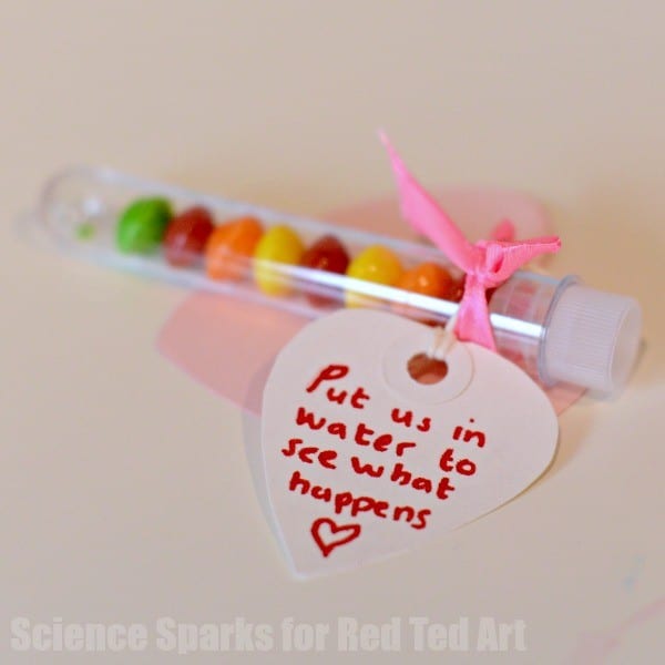 Fun Experiment with M&Ms or Skittels - a fun colour experiment