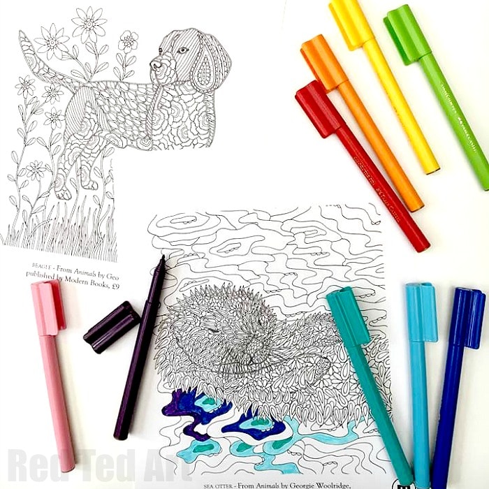 Animal Coloring Pages for Grown Ups