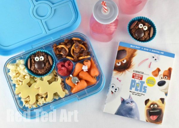secret-life-of-pets-bento-and-dvd-3a