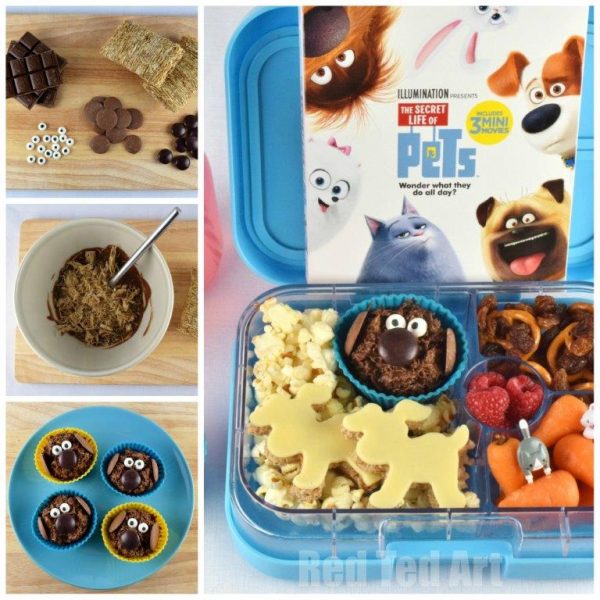 secret-life-of-pets-bento-square-collage-1a