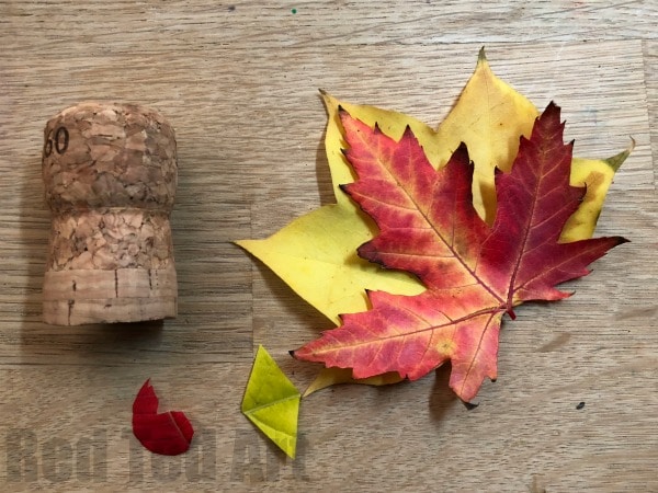 Leaf Turkey Craft - Thanksgiving Place Cards - A quick 5 minute craft for Thanksgiving. These little leaf turkey corks are quick and easy to make. They are a great little decoration or place card for thanksgiving. Either use fresh leaves (for temporary look) or preserve your leaves (info linked in article) first.. but aren't they adorable?