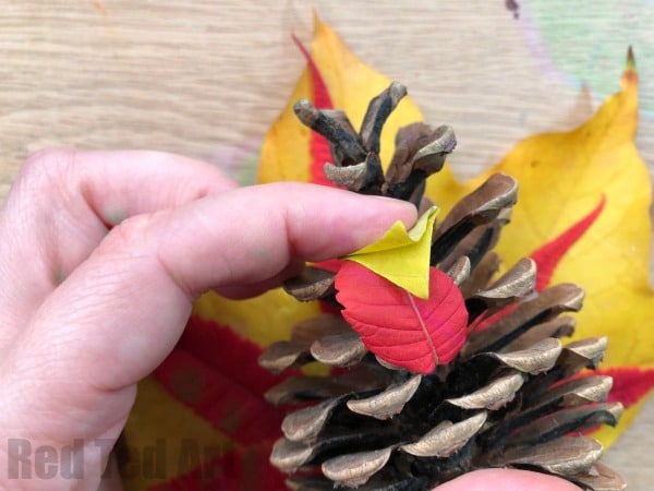Autumn Leaf Pine Cone Turkey - Wow! These Pine Cone Turkeys really show the vibrant colours of beautiful Autumn Leaves. A great (quick) Thanksgiving Craft for Kids. Adorable!!