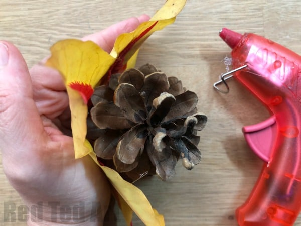 Autumn Leaf Pine Cone Turkey - Wow! These Pine Cone Turkeys really show the vibrant colours of beautiful Autumn Leaves. A great (quick) Thanksgiving Craft for Kids. Adorable!!