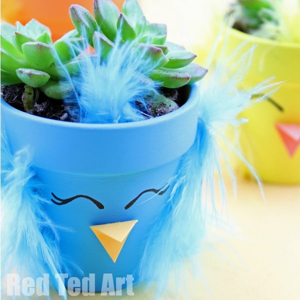 Spring Chick Planter DIY