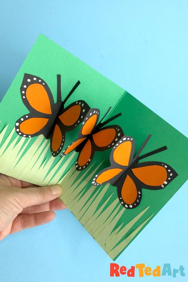3D Pop Up Butterfly & Flower Greeting Card – For Mom, Birthday, Anniversary