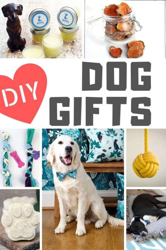 https://www.redtedart.com/wp-content/uploads/2019/08/DIY-dog-gifts-534x800.jpg