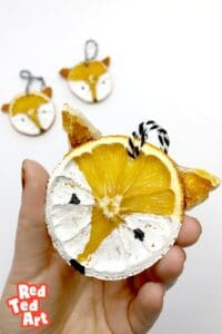 Dried Orange Slices Fox Ornaments - Learn Tricks To Keep Oranges Bright