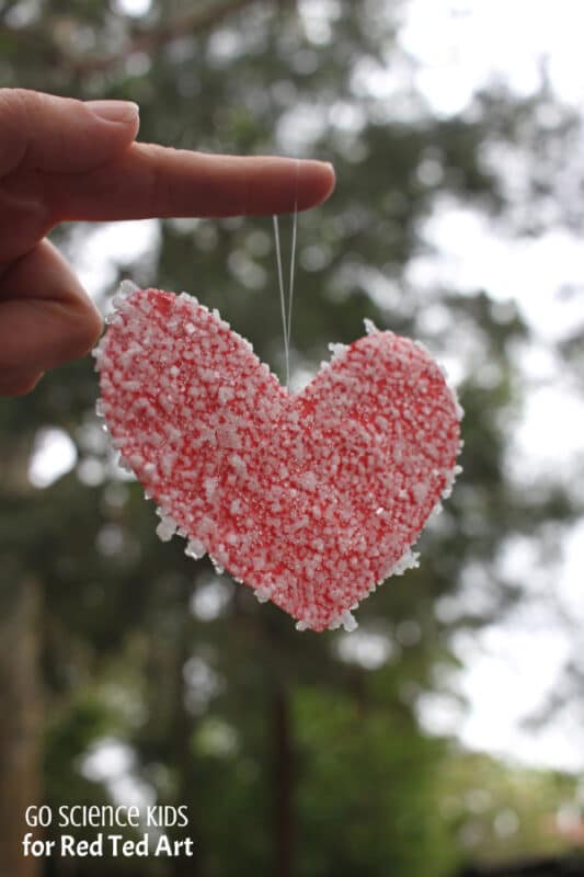 Salt Crystal Hearts - Easy STEAM Activities for Kids this Valentine's!