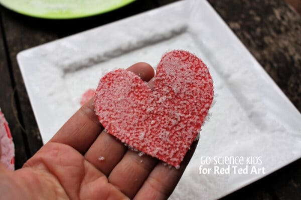 Salt Crystal Hearts - Easy STEAM Activities for Kids this Valentine's!