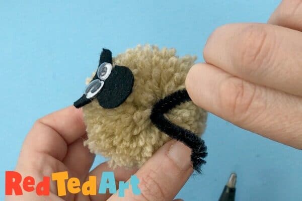 Pom pom sheep legs