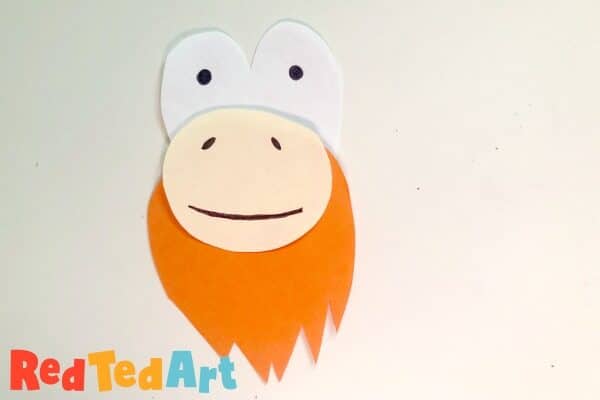 monkey features