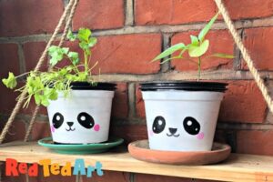 painted plant pots