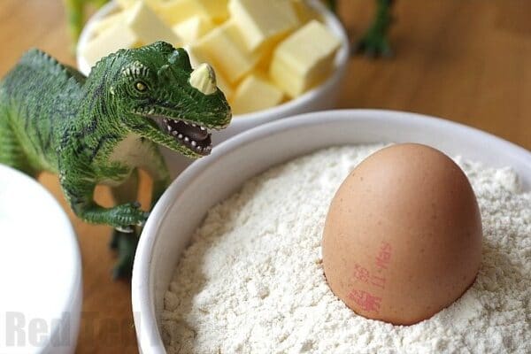 dinosaur & egg