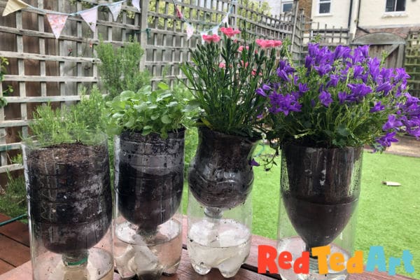 growing plants with kids