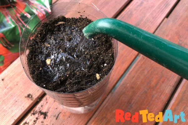 recycled crafts