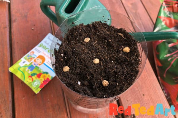 recycled planting with kids