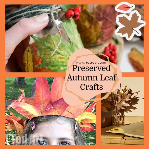 presevered leaves for fall decorating
