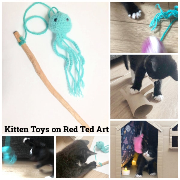 Creative Cat Play: DIY Toys for Purrfect Entertainment
