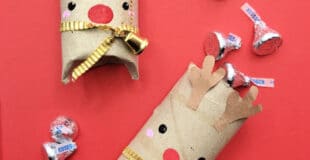 rudolph favour box