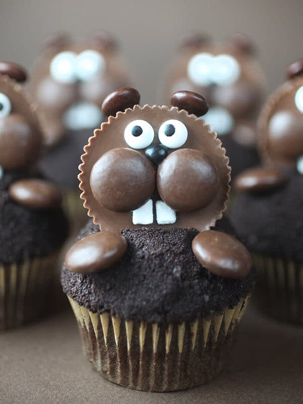 groundhog day cupcake