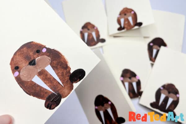 walrus print cards
