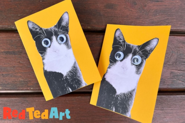 Cat Birthday Card Craft for Kids