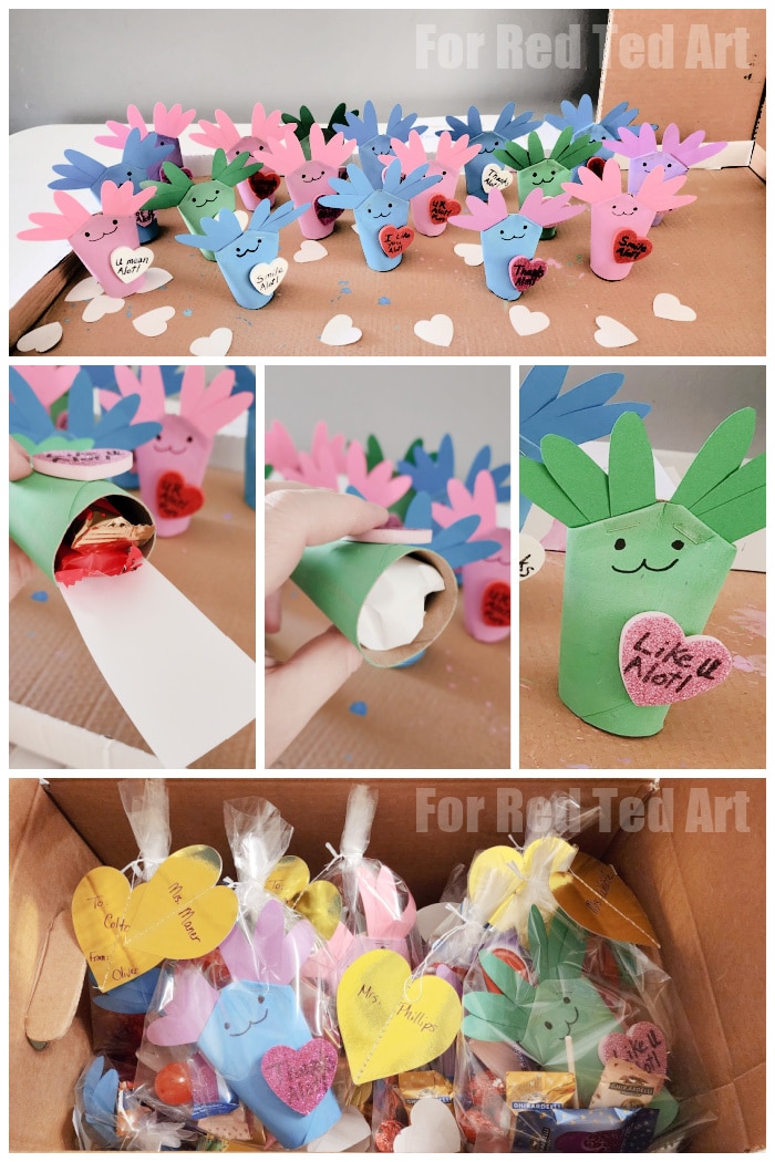 cute axolotl gift box
