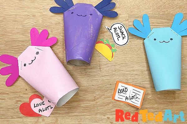 axolotl accessories