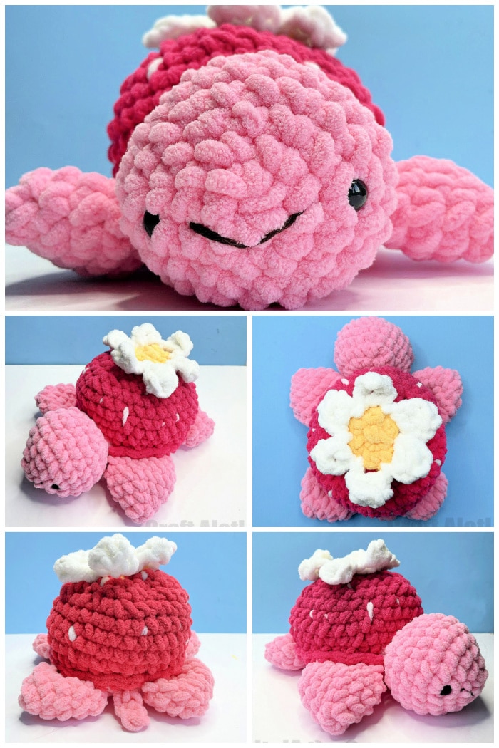 Free Turtle Crochet Pattern