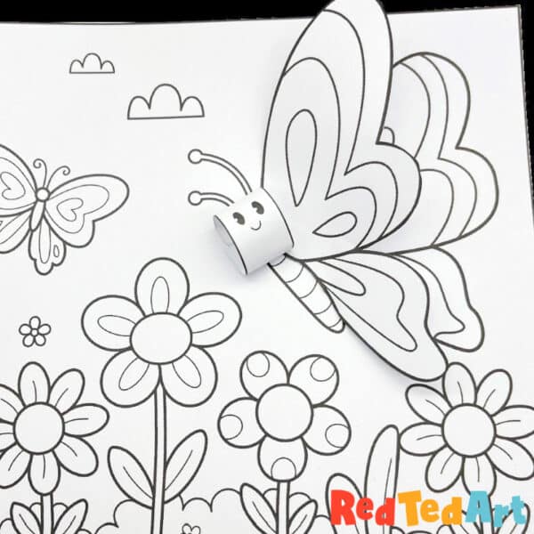 butterfly coloring 3d