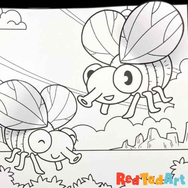 3d fly coloring page