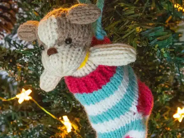 Cute little knitted dog