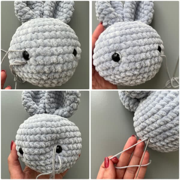 bunny facial features continued