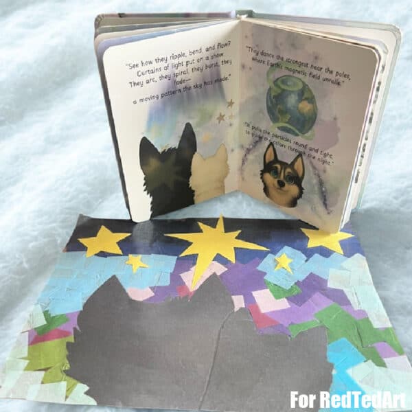 the northern lights book