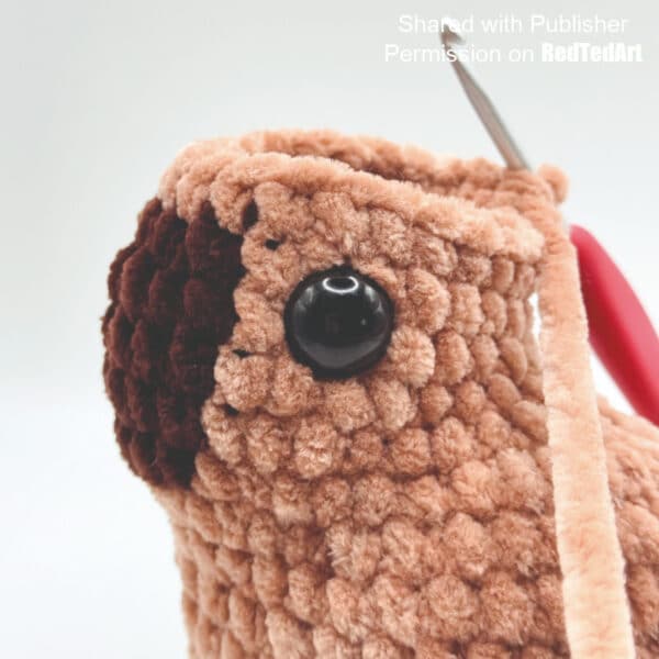 safety eyes added to amigurumi