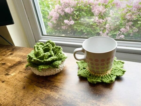 surprise crochet plants
