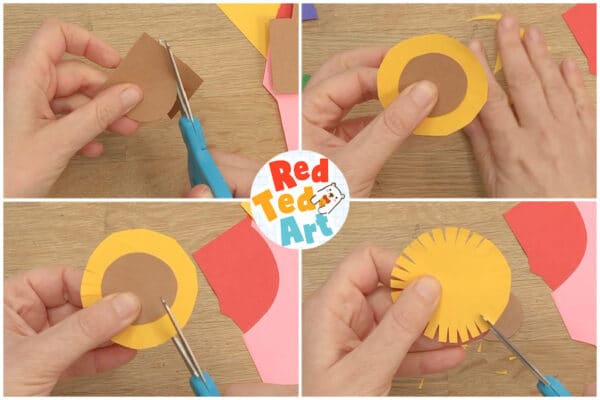 cut sunflower circles