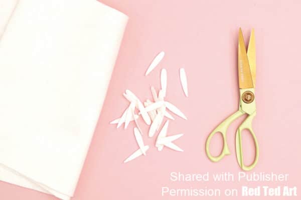 cut your daisy petals